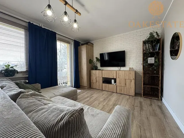 Living room; natural light, modern style