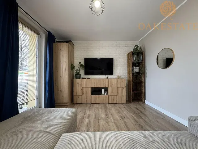 Living room; wood floor, natural light, modern style