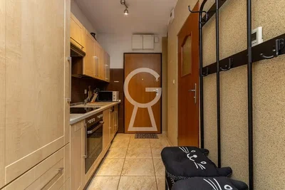 Kuhinja; kuhinjski aparati, prirodno svjetlo, moderni stil