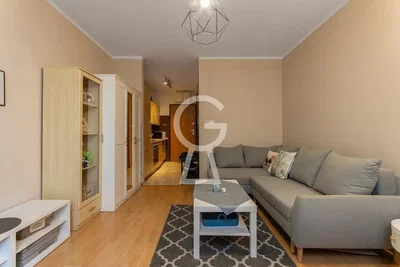 Dnevna soba; drveni pod, prirodno svjetlo, moderni stil