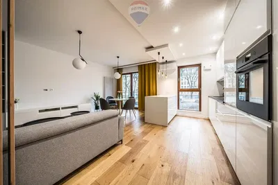 Küche; küchengeräte, tageslicht, moderner stil, holzboden