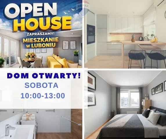 Kitchen; view, modern style, natural light