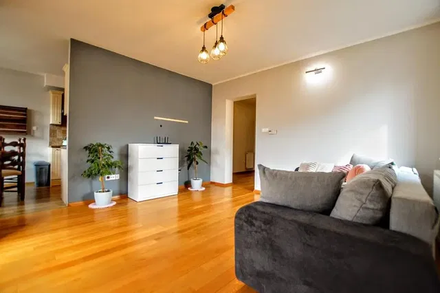 Wohnzimmer; holzboden, tageslicht