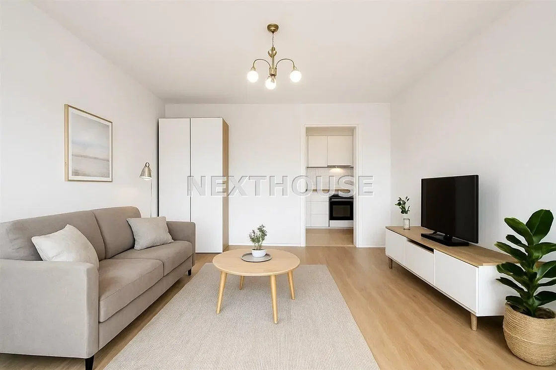 غرفة معيشة; ضوء طبيعي, أسلوب عصري