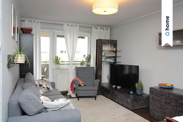 Salón; luz natural, estilo moderno