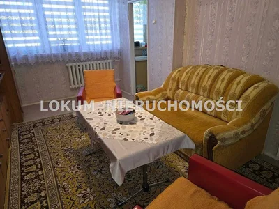 Oturma odası; doğal ışık, rustik stil