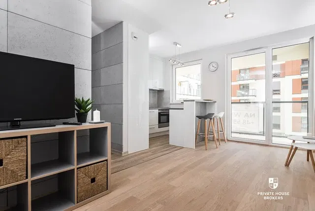 Dnevna soba; pogled, prirodno svjetlo, moderni stil