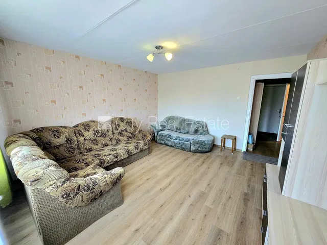 Wohnzimmer; holzboden, tageslicht