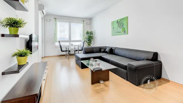 Salon; lumière naturelle, style moderne, parquet