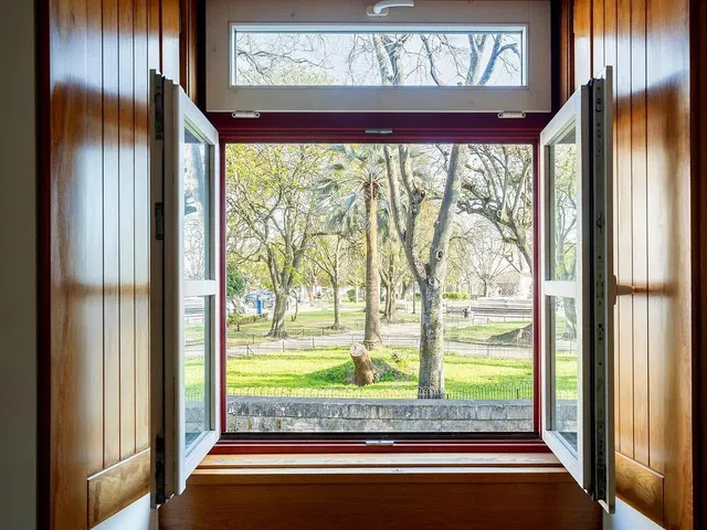 Άλλο; θέα, φυσικό φως