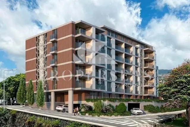 House and surroundings