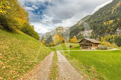 Haus und umgebung; blick, tageslicht