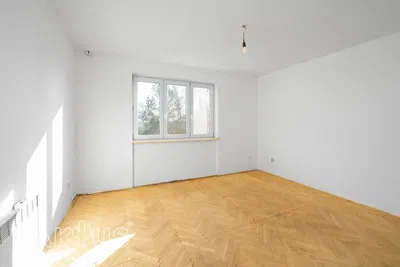Wohnzimmer; blick, holzboden, tageslicht