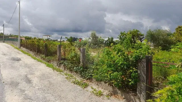 Casa y alrededores; vista