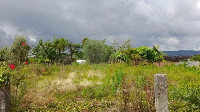 Casa y alrededores; vista