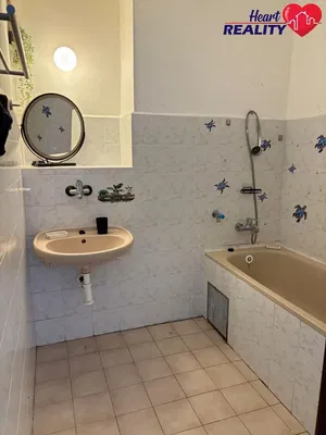 Diğer