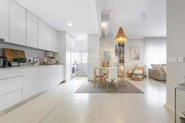 Cuisine; électroménager, lumière naturelle, style moderne