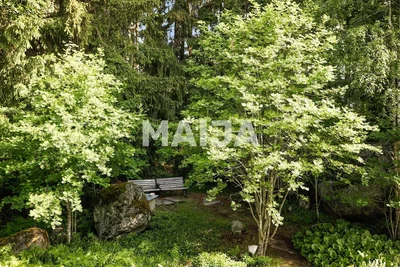 Кућа и околина; поглед, природно светло