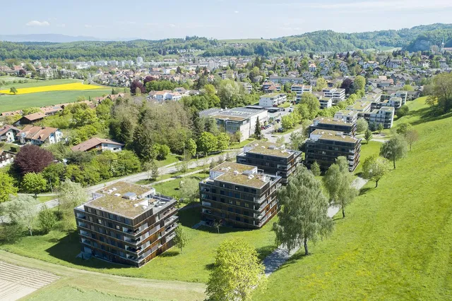 House and surroundings; view