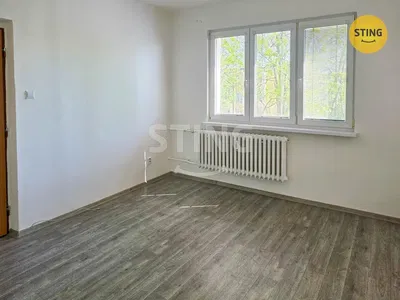 Camera da letto; vista, pavimento in legno, luce naturale