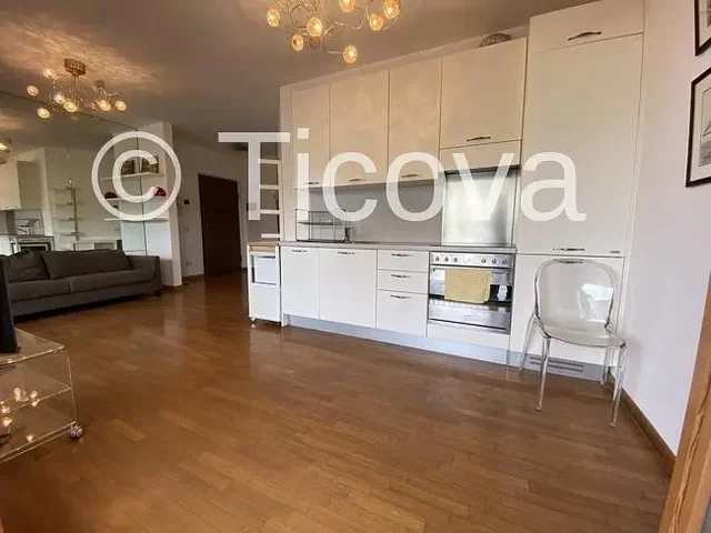 Kitchen; wood floor, natural light, modern style
