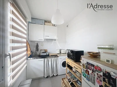 Küche; küchengeräte, tageslicht, moderner stil