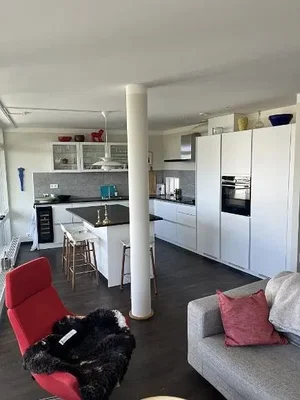 Cuisine; électroménager, lumière naturelle, style moderne