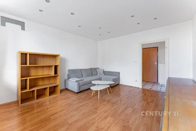 Wohnzimmer; holzboden, tageslicht, moderner stil