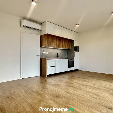 Kuhinja; kućanski aparati, prirodna svjetlost, moderan stil, renoviran