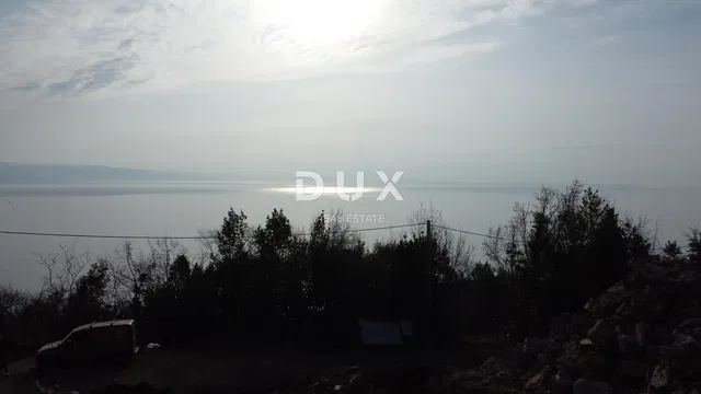 House and surroundings; view