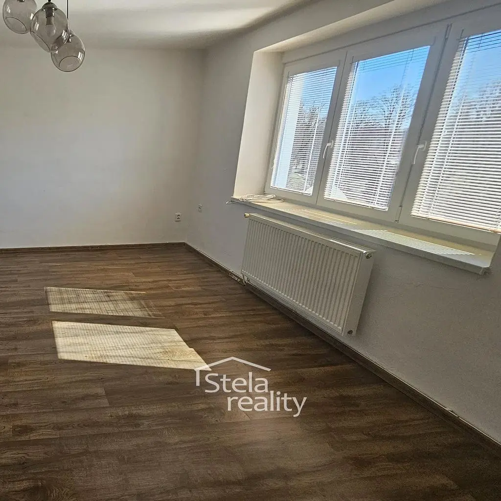 Salon; parquet, lumière naturelle