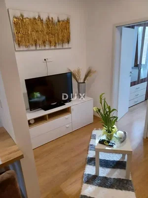 Salon; lumière naturelle, style moderne