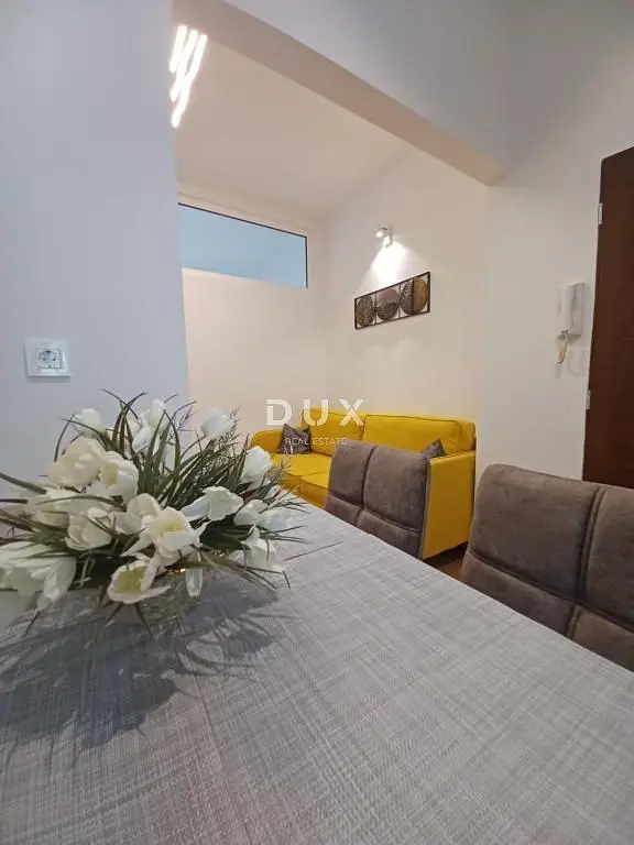 Salon; lumière naturelle, style moderne