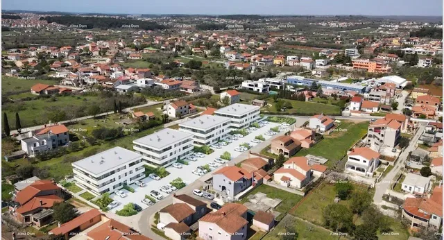 House and surroundings; view