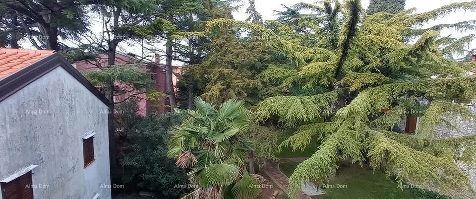 Haus und umgebung; blick