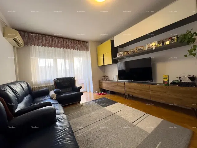 Living room; natural light, modern style