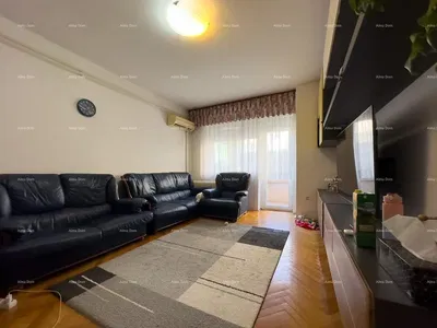 Salon; lumière naturelle, style moderne