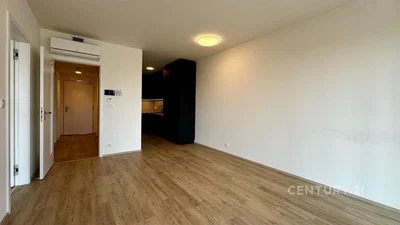 Diğer