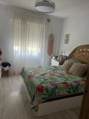 Diğer