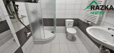 Ostatní