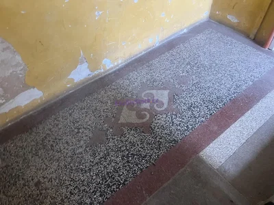 Diğer