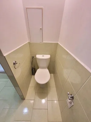 Diğer