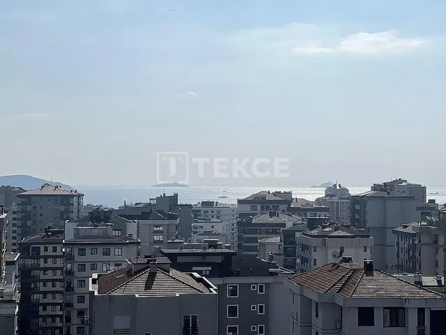 أخرى
