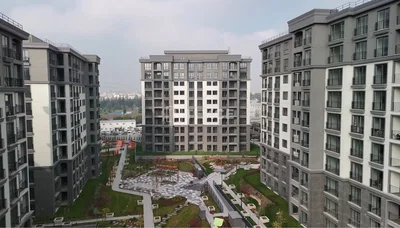 Diğer