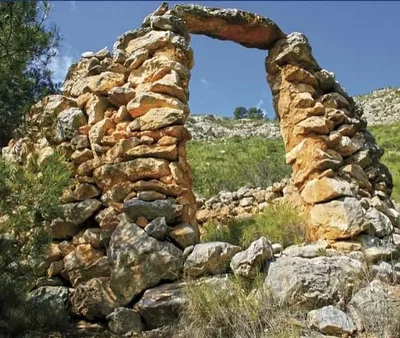 Diğer