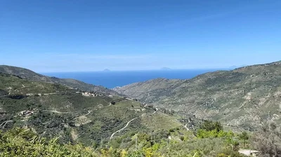 Diğer