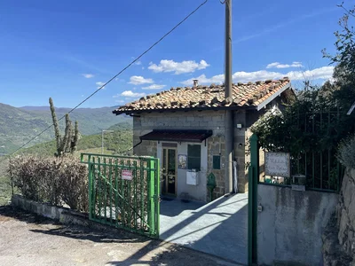 Diğer