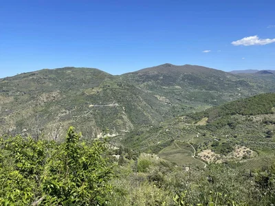 Diğer