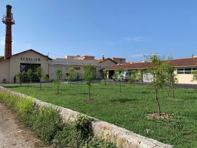 Ostatní