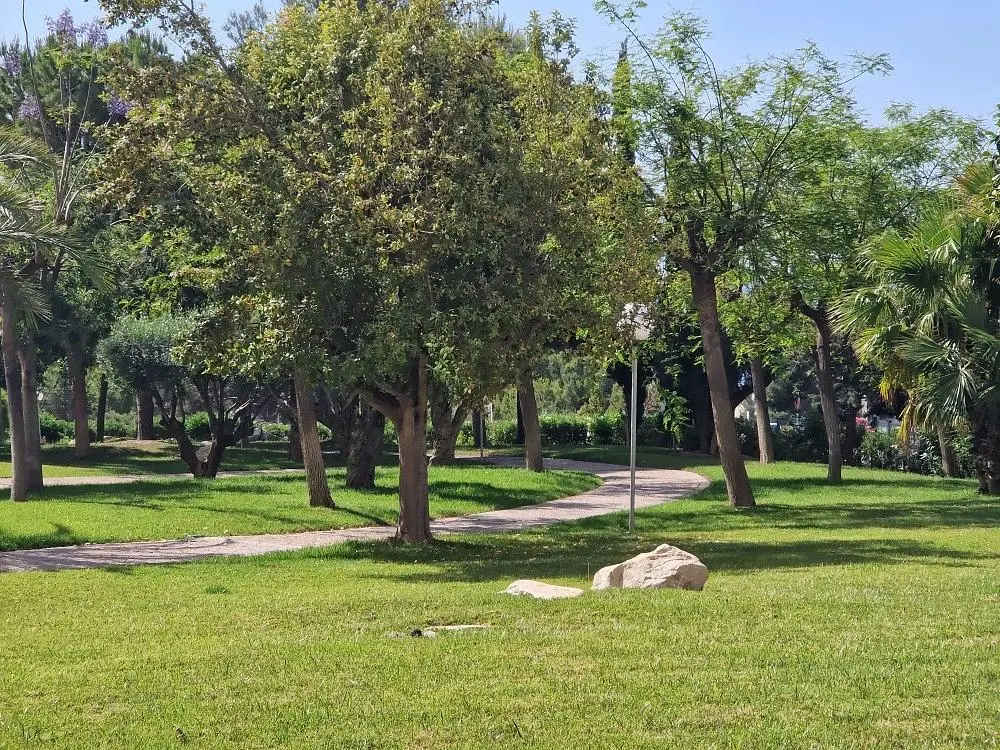 Diğer